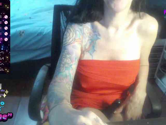 VenusX1 webcam
