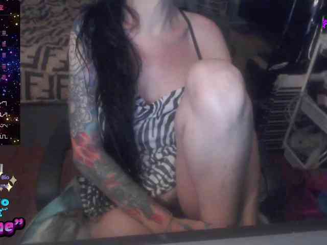 VenusX1 webcam