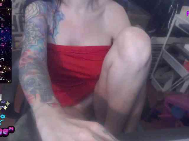 VenusX1 webcam