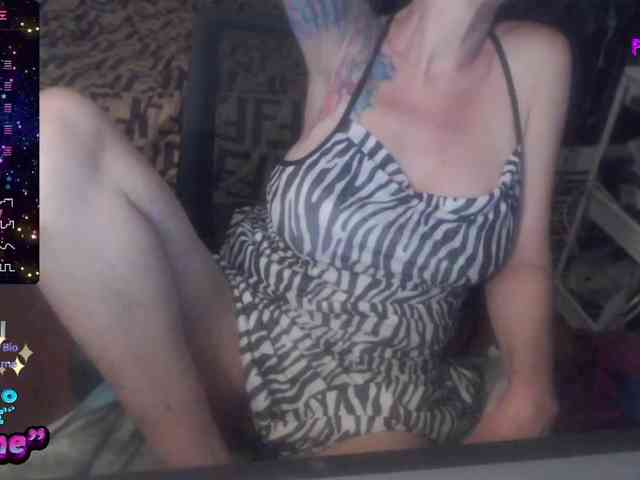 VenusX1 webcam