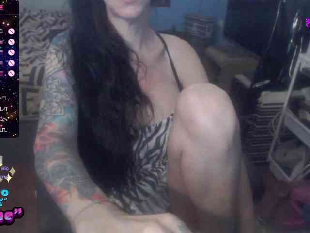 VenusX1 webcam