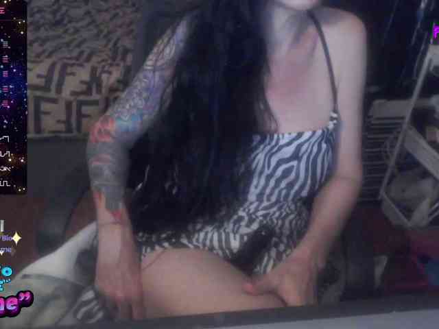 venusx1