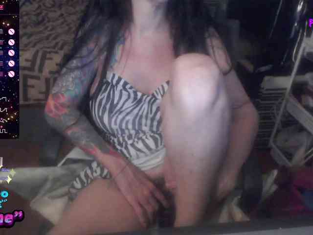 VenusX1 webcam