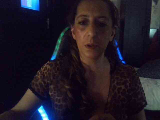 belgecoquine webcam