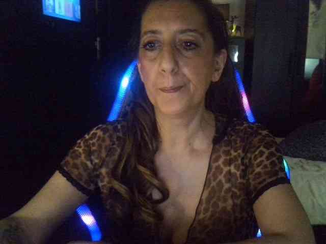 belgecoquine webcam