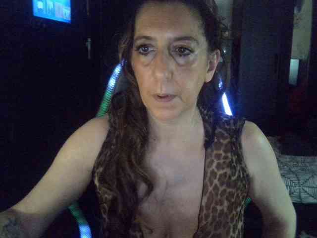 belgecoquine