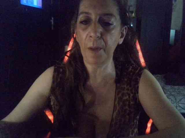 belgecoquine webcam