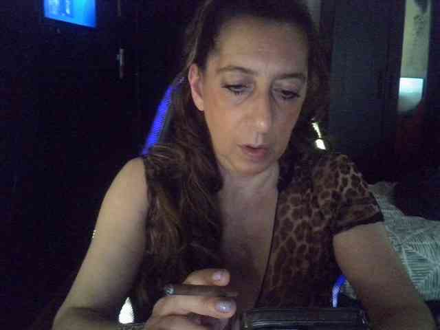 belgecoquine webcam