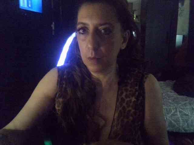 belgecoquine webcam