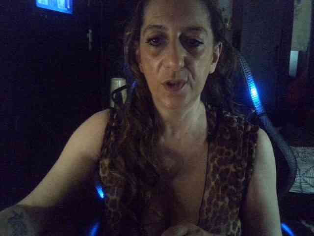 belgecoquine