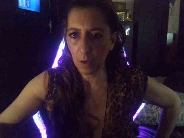 belgecoquine webcam