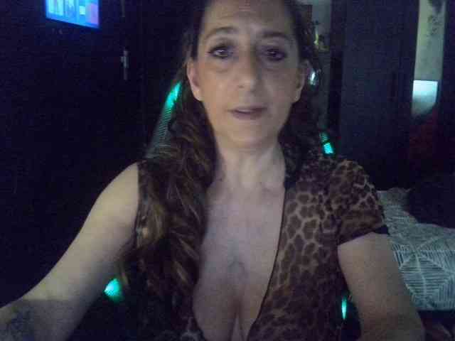 belgecoquine webcam