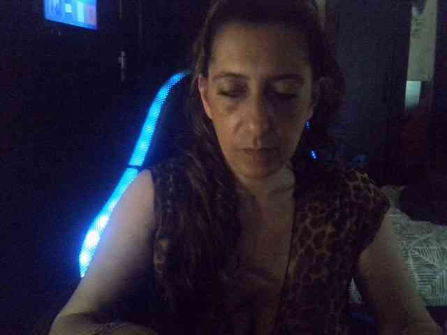 belgecoquine webcam