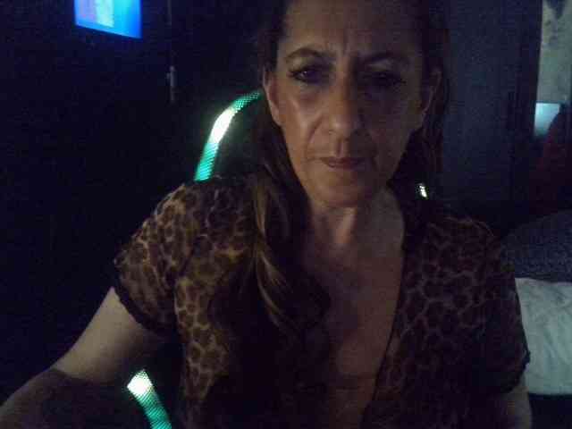 belgecoquine webcam