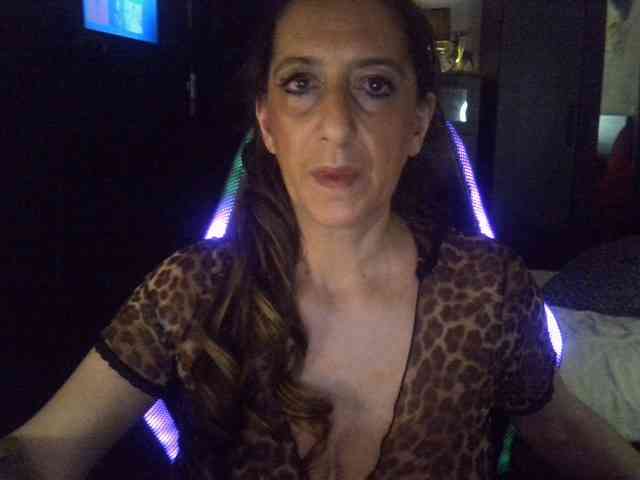 belgecoquine webcam