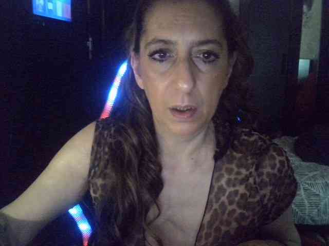 belgecoquine webcam