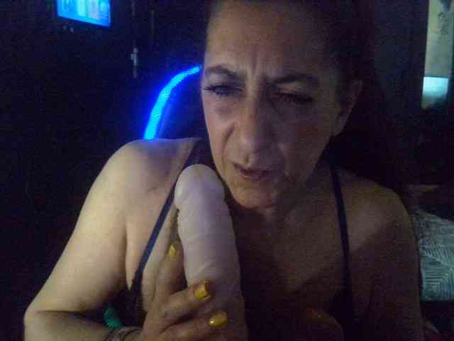 belgecoquine webcam