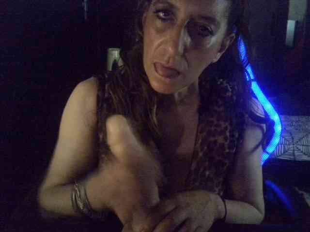 belgecoquine