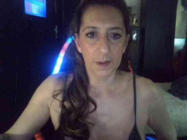belgecoquine