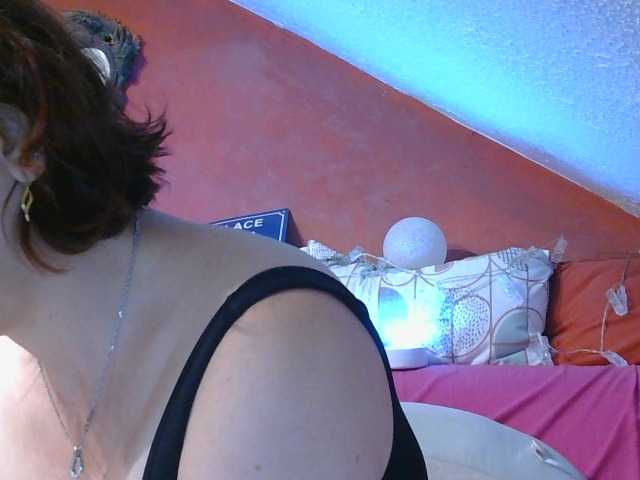 MLX live webcam show
