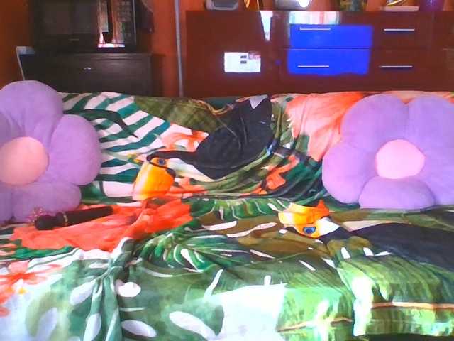 angelique4 live cam on BongaCams