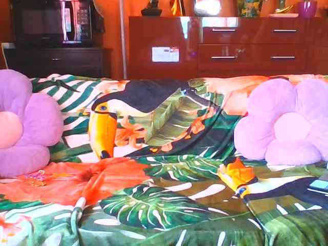 Angelique4 webcam