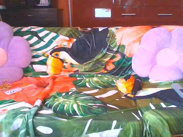 Angelique4 webcam