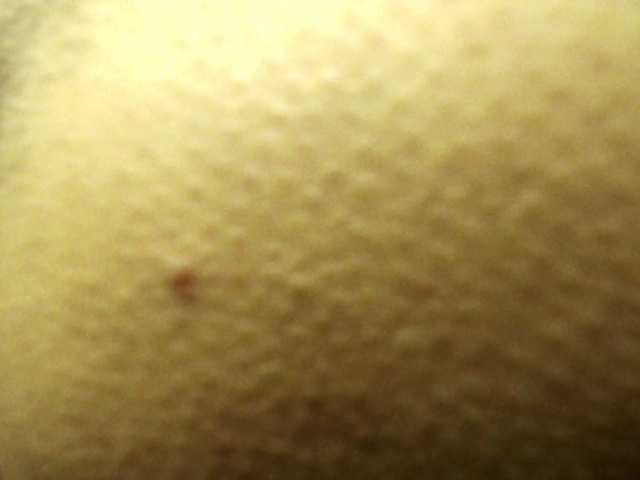 emmaherby1