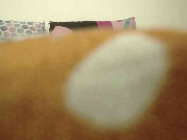 EmmaHerby1 webcam