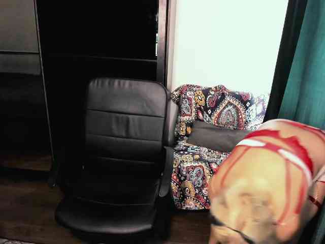 AngelaAngela webcam