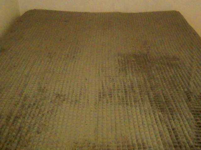 mikkirsan1 live cam on BongaCams