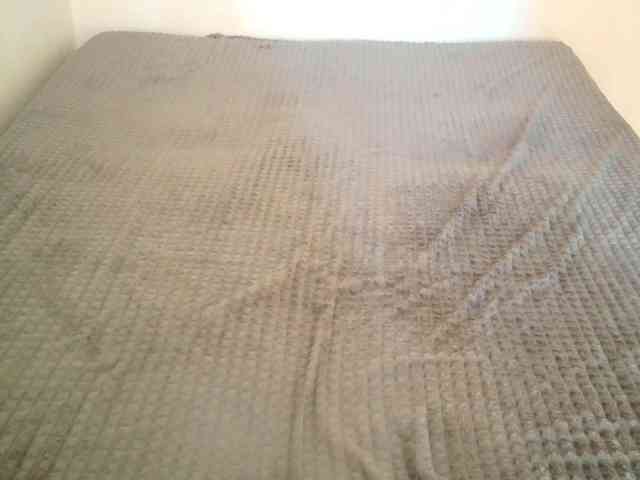 TanaShemow webcam