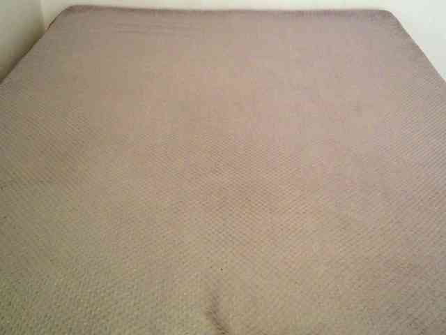 TanaShemow webcam