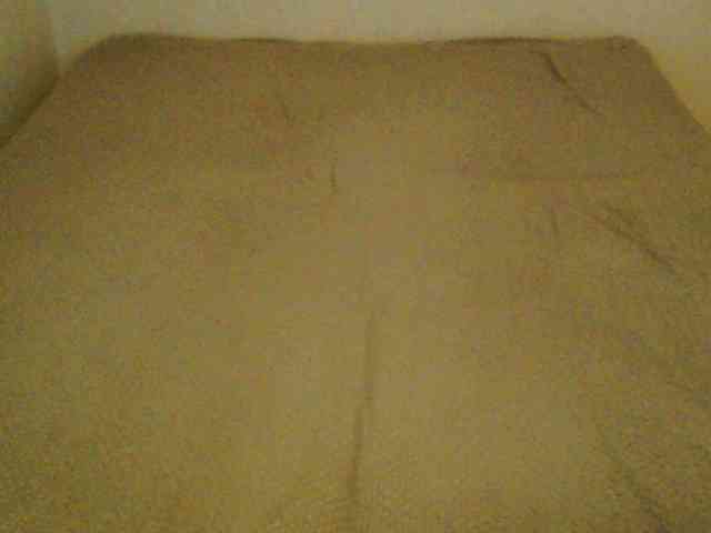 TanaShemow webcam