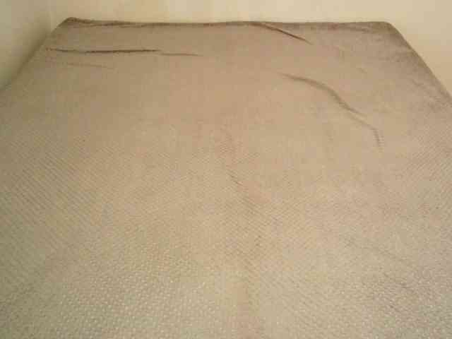 TanaShemow webcam