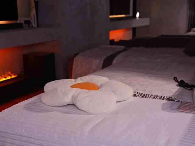 AlexisGrays webcam