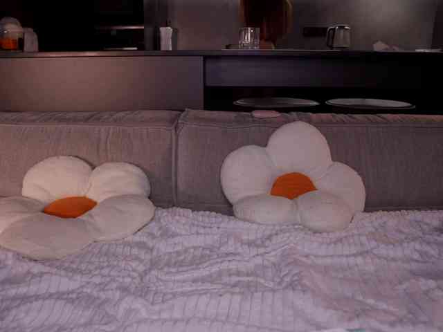 AlexisGrays webcam