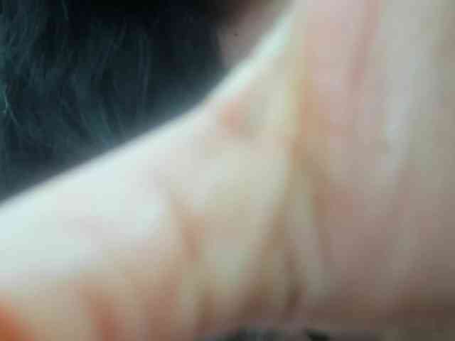 roxanahills_ webcam