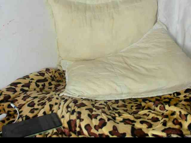 roxanahills_ webcam