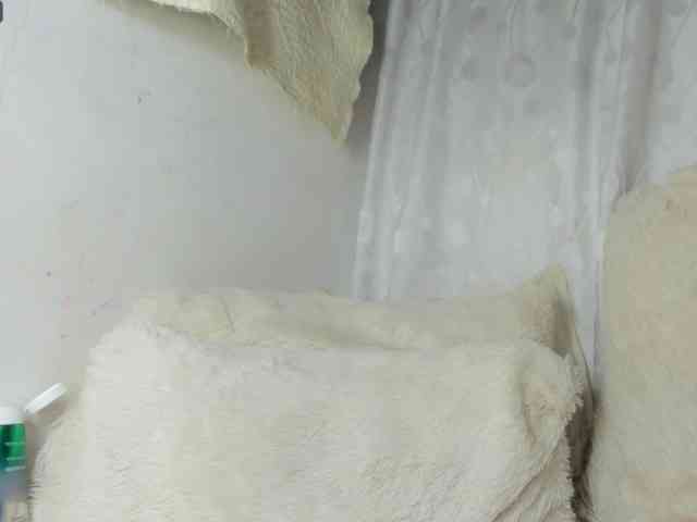 roxanahills_ webcam