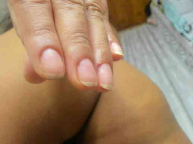 Modelo: roxanahills_