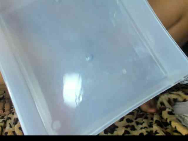 roxanahills_ webcam