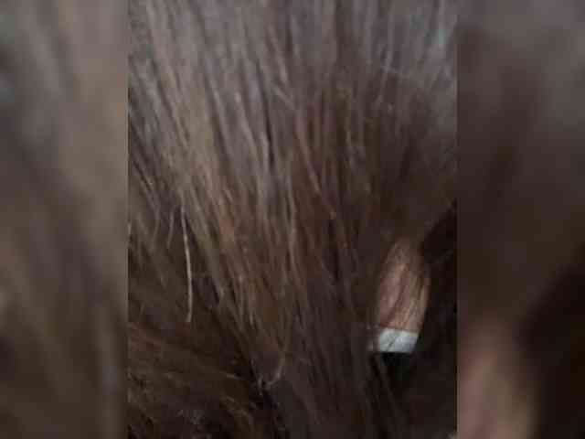 dee_zee webcam
