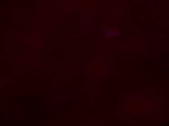 ZoePresley1 live cam on BongaCams