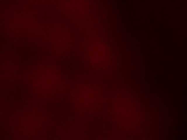 ZoePresley1