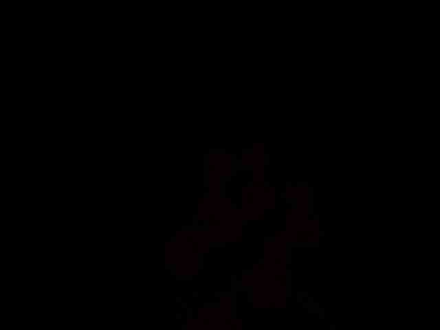 ZoePresley1