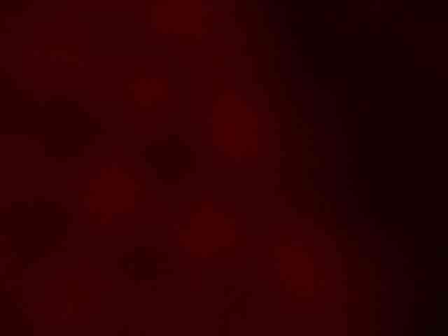 ZoePresley1