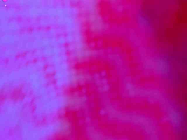 ZoePresley1