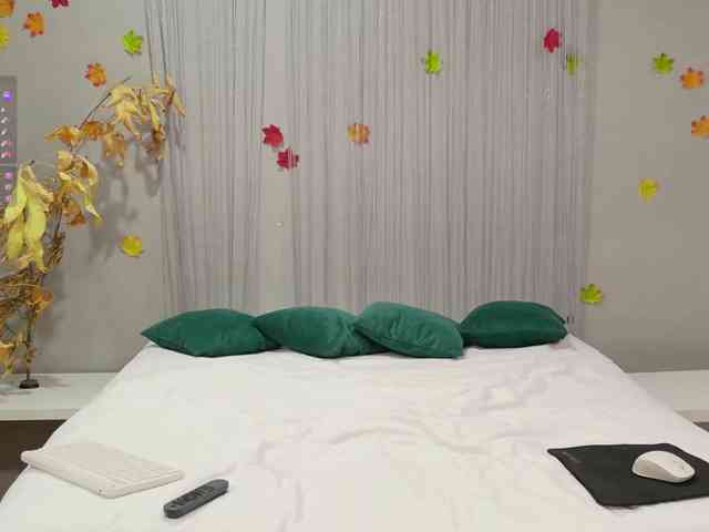 Visbee webcam