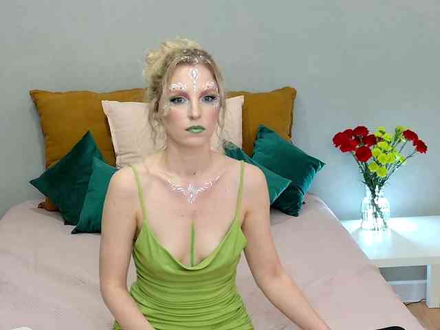 Visbee webcam